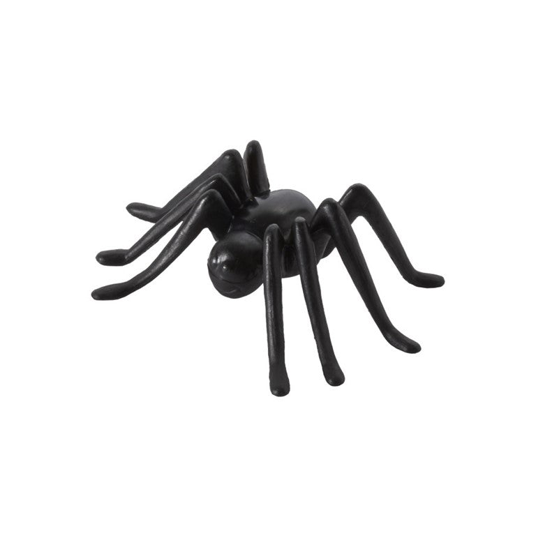 SMALL SPIDER LAYON 12CT